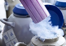 杰特宁医院反复移植失败患者可通过ERA技术评估内膜容受性 ,选择最佳移植时间窗口